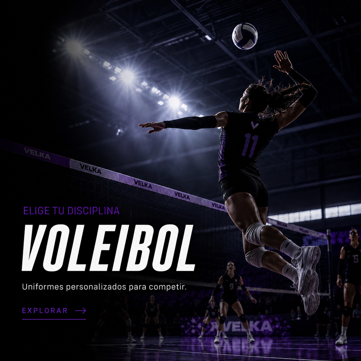 Voleibol